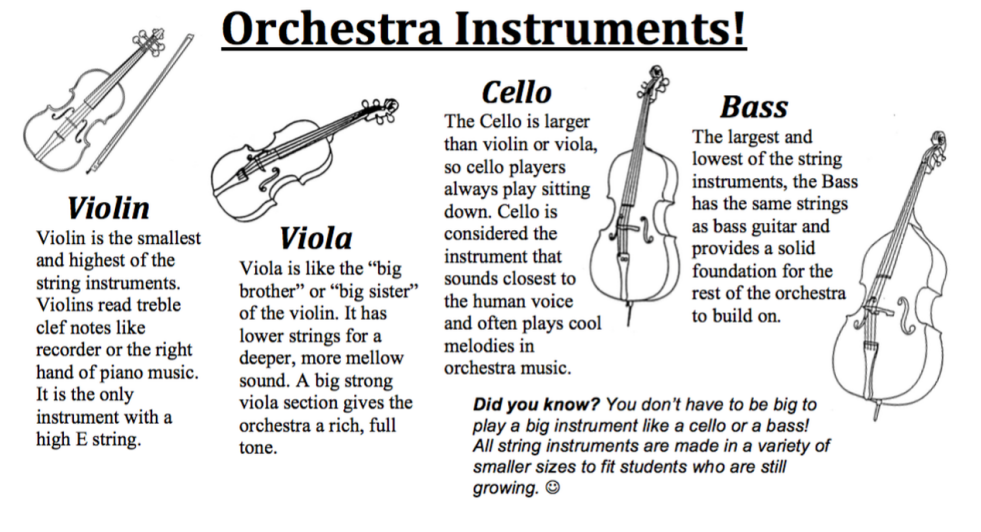Photo of a violin, viola, cello and bass. 